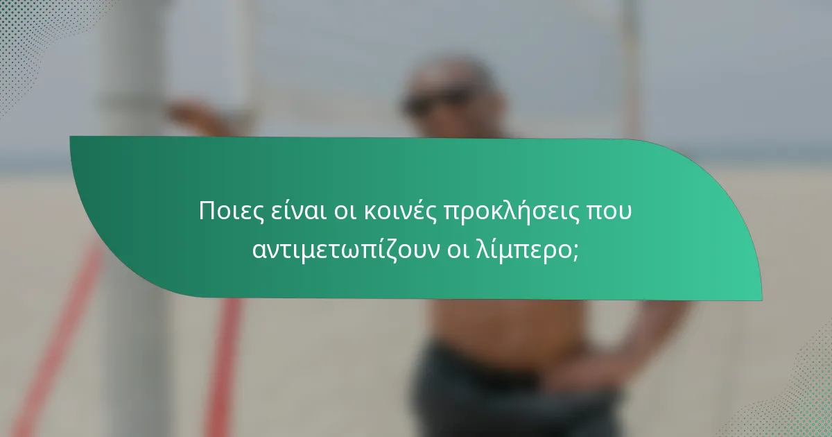 Ποιες είναι οι κοινές προκλήσεις που αντιμετωπίζουν οι λίμπερο;