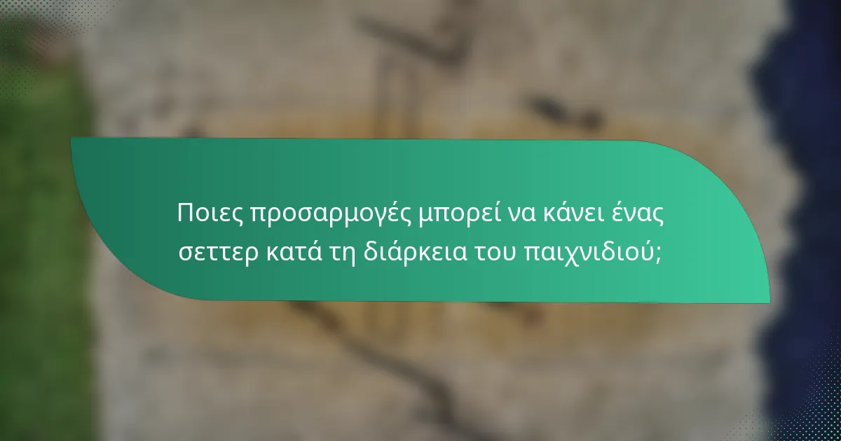 Ποιες προσαρμογές μπορεί να κάνει ένας σεττερ κατά τη διάρκεια του παιχνιδιού;