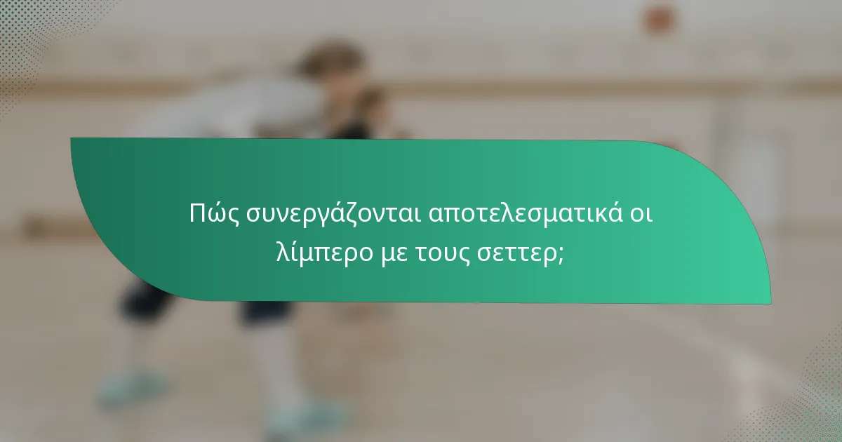 Πώς συνεργάζονται αποτελεσματικά οι λίμπερο με τους σεττερ;